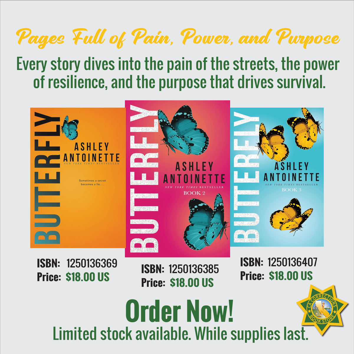 Pages Full of Pain, Power, and Purpose Bundle