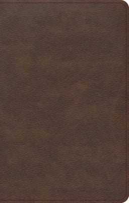 KJV Single-Column Compact Bible, Brown Leathertouch Bible Holman Bibles