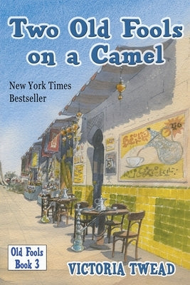 Two Old Fools on a Camel: From Spain to Bahrain and back again Paperback Ant Press