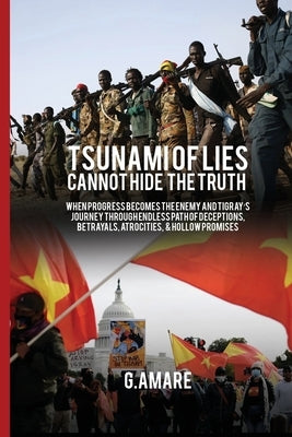 A Tsunami of Lies Cannot Hide the Truth Paperback Gidey Amare