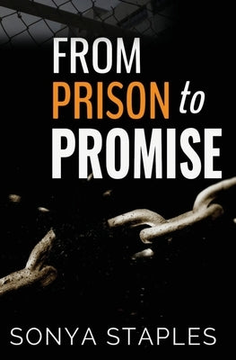 From Prison to Promise Paperback Vog Publishing