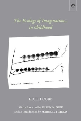 The Ecology of Imagination in Childhood Paperback Spring Publications