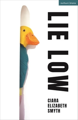 Lie Low Paperback Bloomsbury Publishing PLC