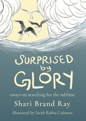 Surprised by Glory: Essays on Searching for the Sublime Paperback Bohannon Hall Press