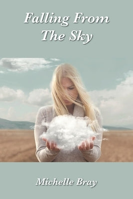 Falling From The Sky Paperback Grosvenor House Publishing Limited