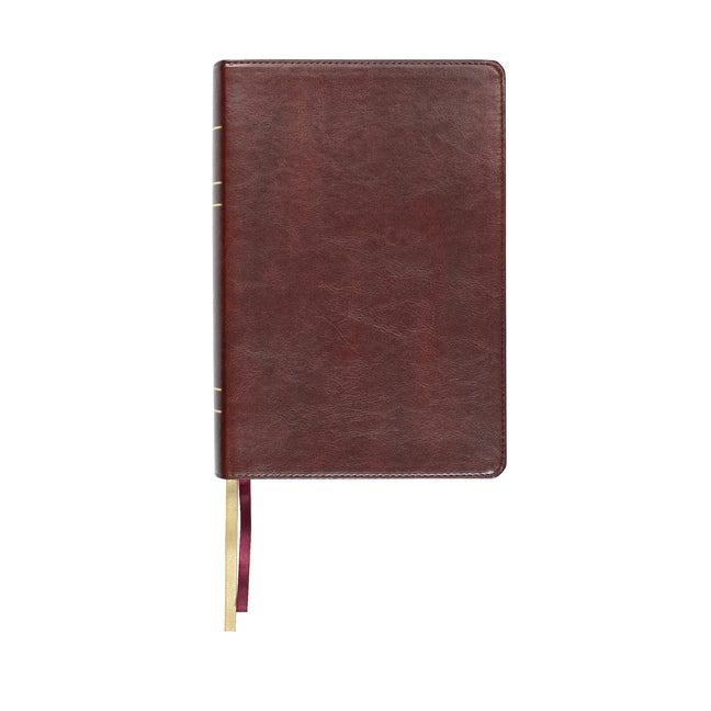 Lsb Large Print Wide Margin Paste-Down Reddish-Brown Faux Leather Bible Steadfast Bibles