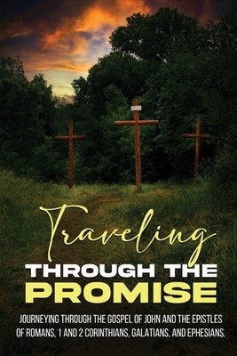 Traveling Through the Promise Bible Tim W Gould