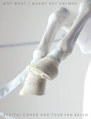 Not What I Meant But Anyway Paperback Columbia Books on Architecture and the City