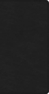 CSB Share Jesus Without Fear New Testament, Black Leathertouch Bible Holman Bibles