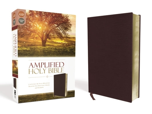 Amplified Bible-Am: Captures the Full Meaning Behind the Original Greek and Hebrew Bible Zondervan