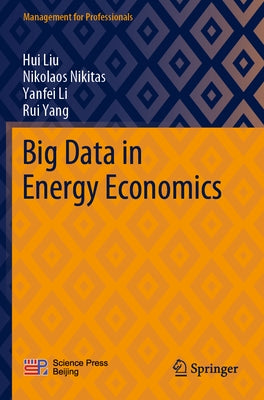 Big Data in Energy Economics Paperback Springer