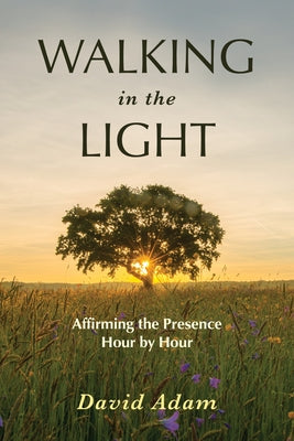 Walking in the Light: Affirming the Presence Hour by Hour Paperback Augsburg Books