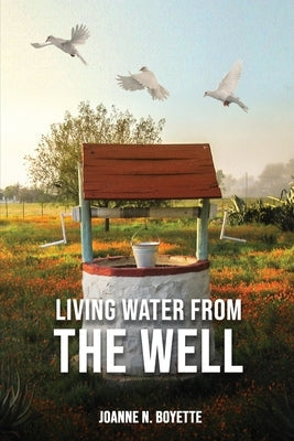 Living Water from the Well Bible Joanne N. Boyette