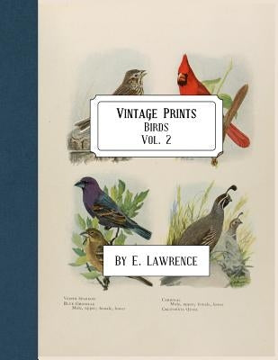 Vintage Prints: Birds: Vol. 2 Paperback Createspace Independent Publishing Platform