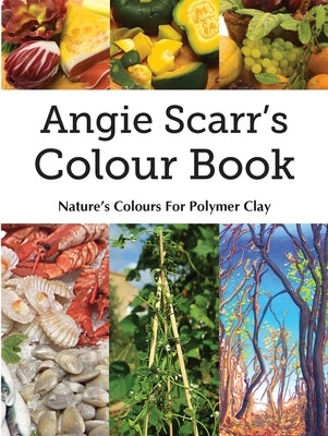 Angie Scarr's Colour Book: Nature's Colours For Polymer Clay Paperback Frank Fisher
