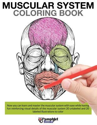 Muscular System Coloring Book Paperback Speedy Publishing Books