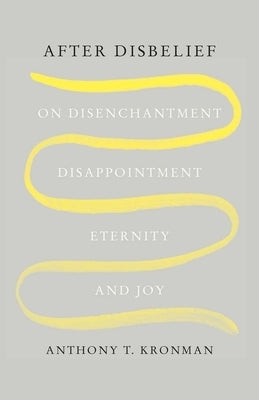 After Disbelief: On Disenchantment, Disappointment, Eternity, and Joy Paperback Yale University Press