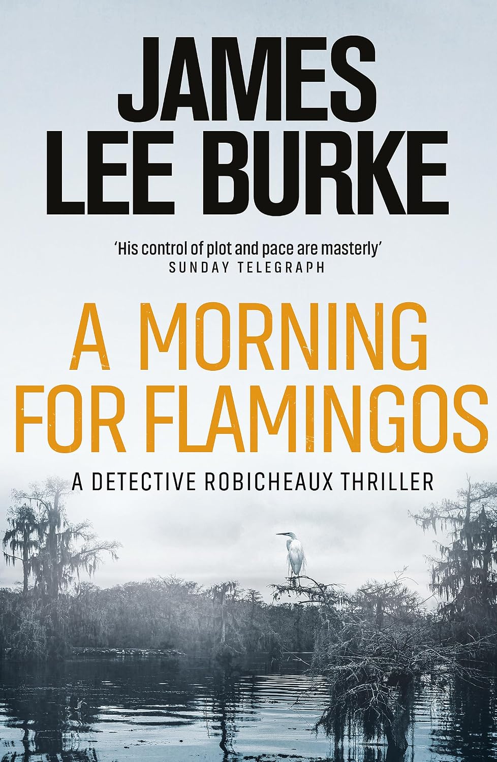 A Morning For Flamingos (Dave Robicheaux)