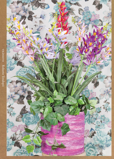 Paperback of Roberto Tondopó Tránsito by Capricious Publishing showing the front cover with vibrant artwork and title text