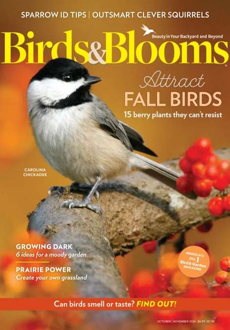 BIRDS & BLOOMS MAGAZINE Magazines Subscriptions Birds & Blooms