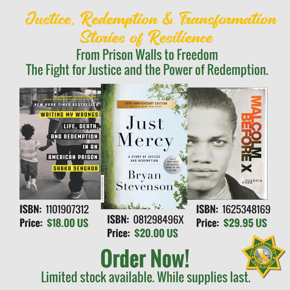 Justice, Redemption & Transformation: Stories of Resilience Bundle