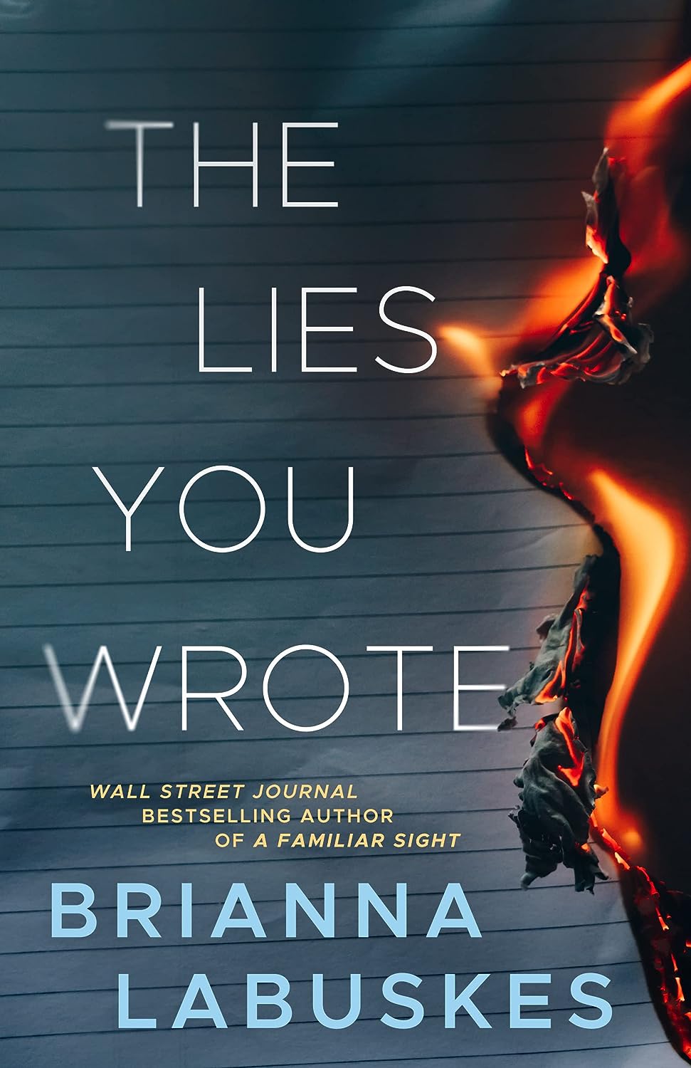 The Lies You Wrote (Raisa Susanto #1) - CA Corrections Bookstore