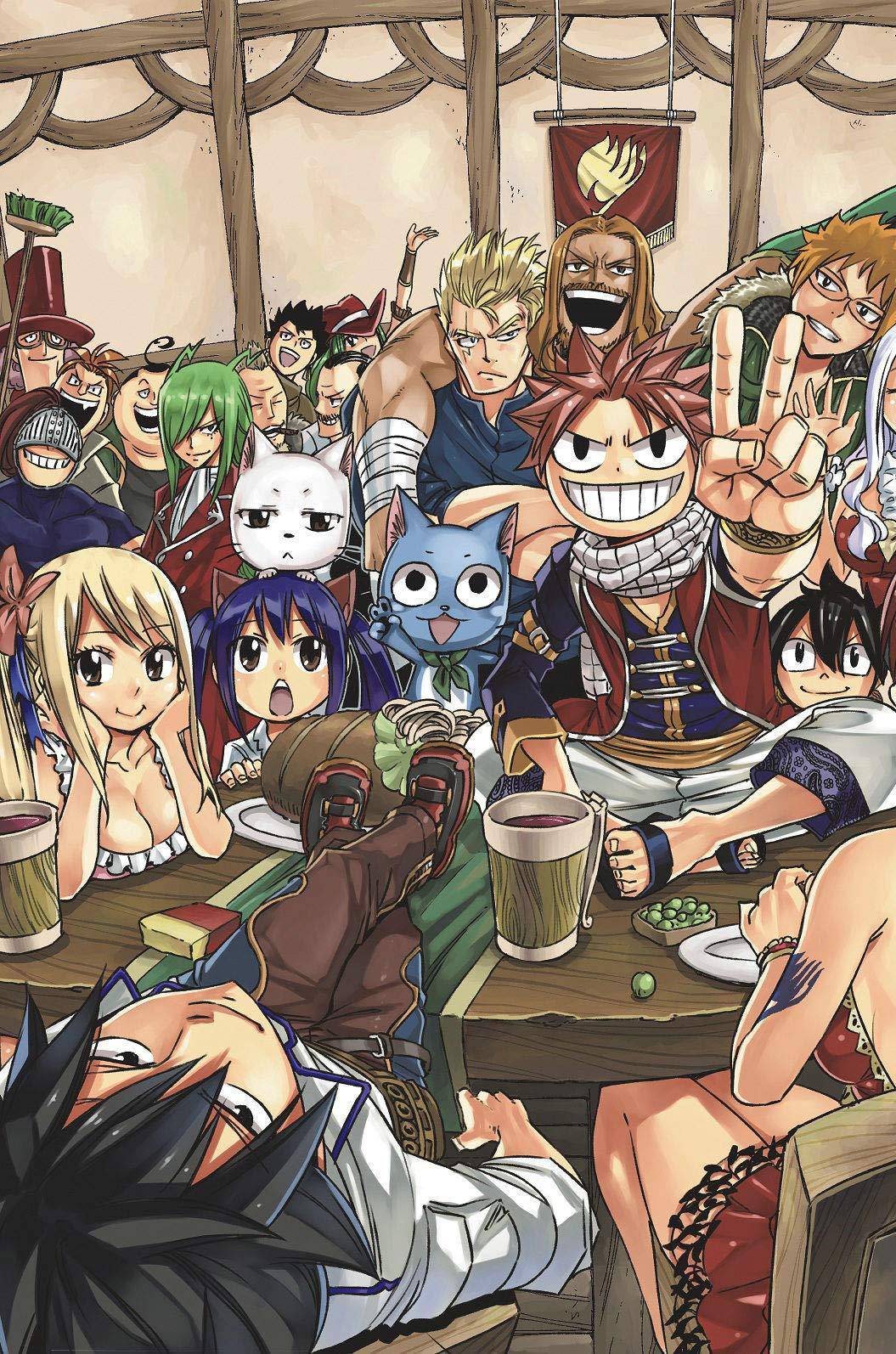 Fairy Tail Manga Box Set 4 Comics & Graphic Novels Hiro Mashima