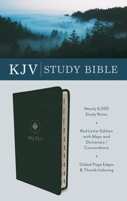 The KJV Study Bible (Indexed) [Evergreen Fog] Bible Barbour Publishing