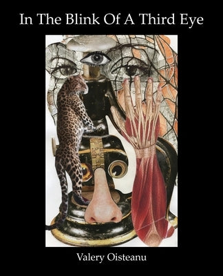 In The Blink of A Third Eye: Poetry, flash-fiction, drawing-collages Paperback Spuyten Duyvil