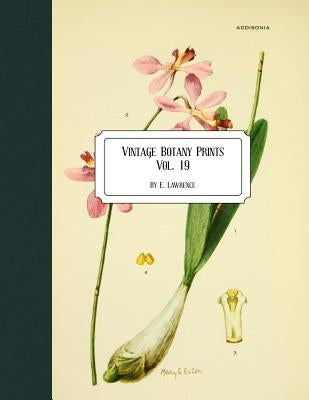Vintage Botany Prints: Vol. 19 Paperback Createspace Independent Publishing Platform