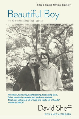 Beautiful Boy (Tie-In): A Father's Journey Through His Son's Addiction Paperback Mariner Books
