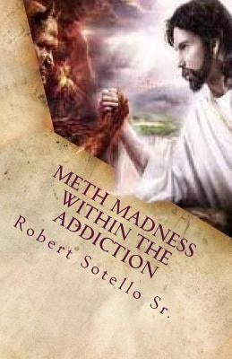 METH Madness Within The Addiction Paperback Createspace Independent Publishing Platform