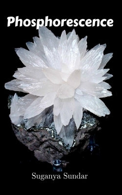 Phosphorescence Paperback Libresco Feeds Private Limited