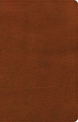 CSB Thinline Bible, Burnt Sienna Leathertouch Bible Holman Bibles