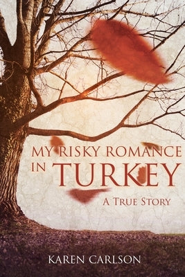 My Risky Romance in Turkey Paperback Bookside Press