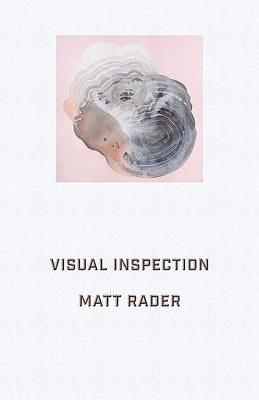 Visual Inspection Paperback Nightwood Editions